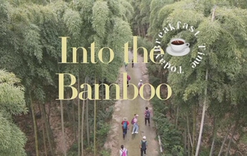 Into the Bamboo Forest