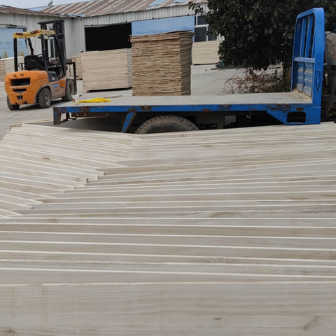 Pannelli e legname in legno di Paulownia