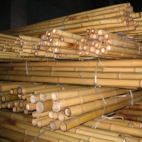 Plachi di bambù secco giallo