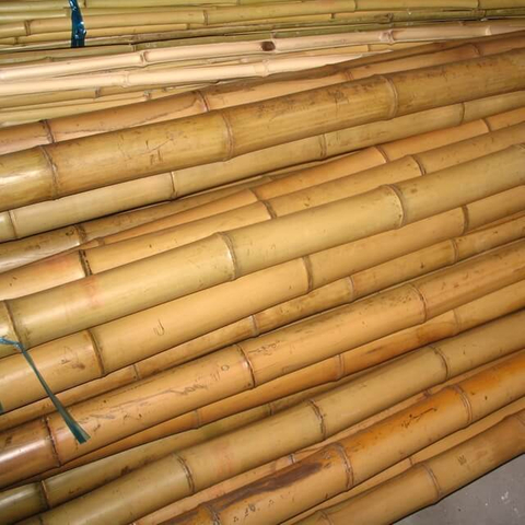 Plachi di bambù secco giallo