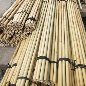 Pali in